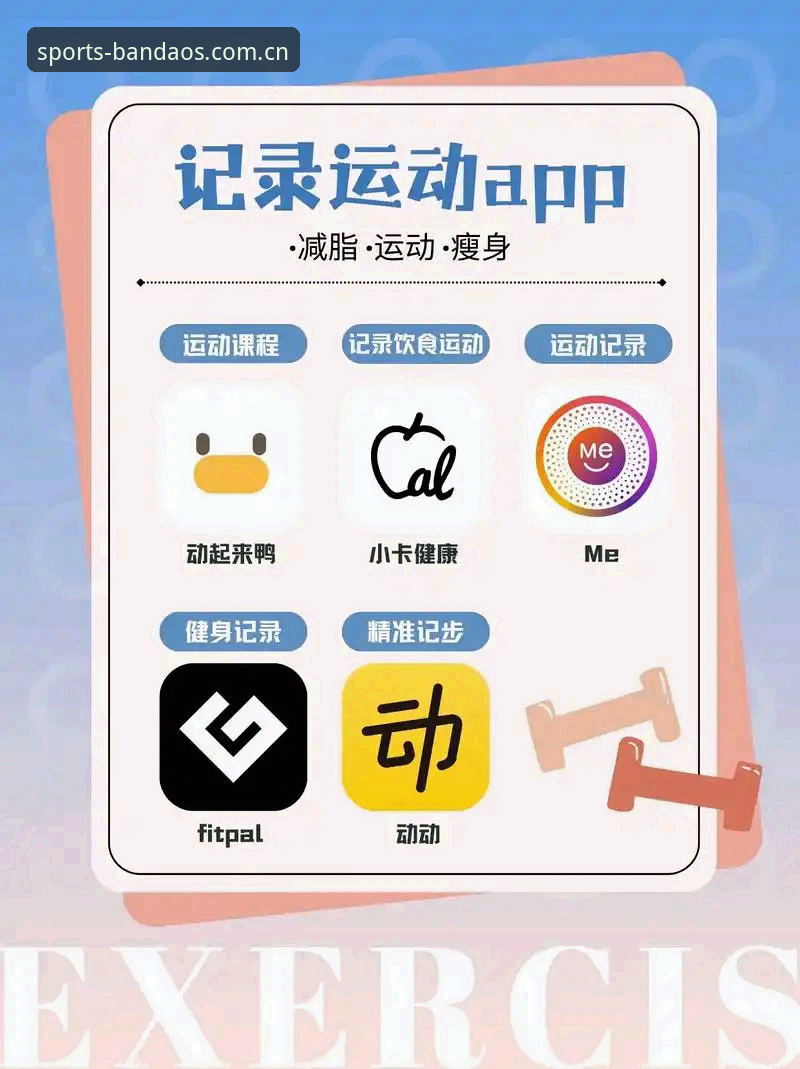 资深用户李悦的2026半岛体育app下载实战体验：从入门到精通的创新玩法